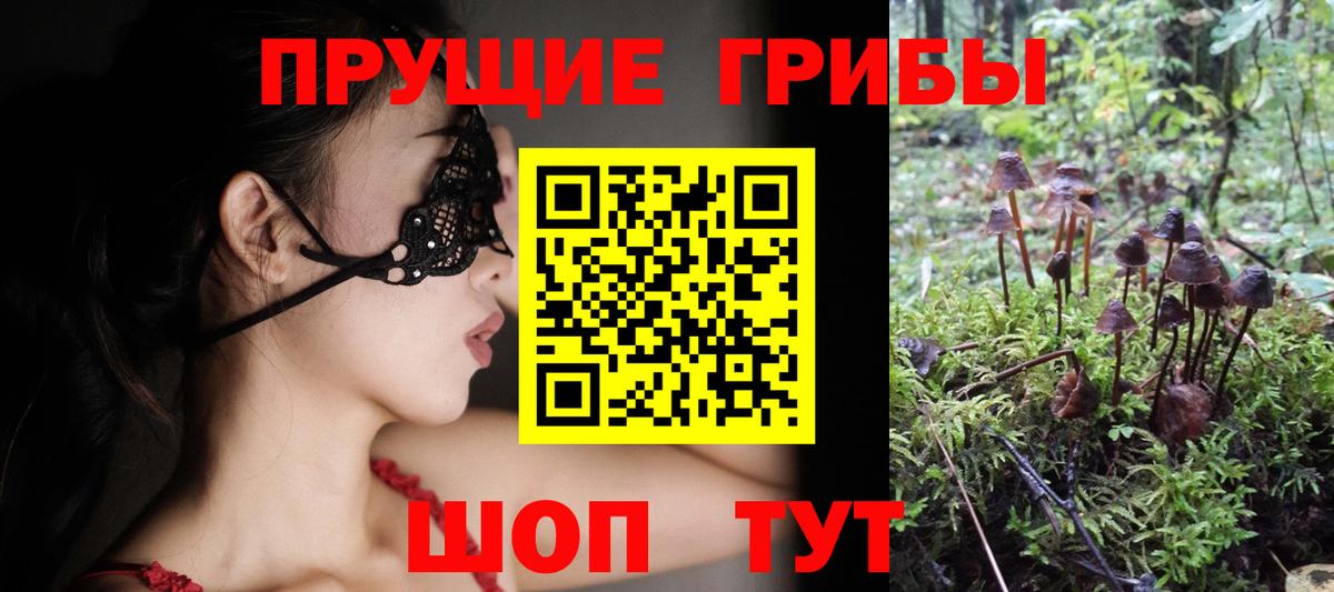 купить наркотик  Псилоцибиновые грибы GOLDEN TEACHER  Дубна  Вход с VPN  Псилоцибиновые грибы мицелий 